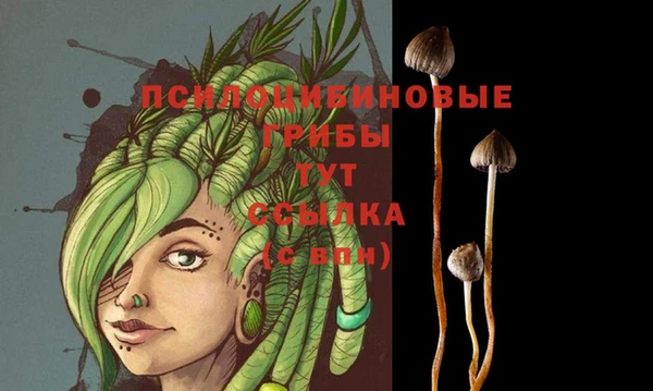 ешки Баксан