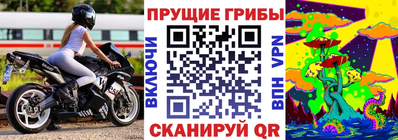 Псилоцибиновые грибы Psilocybine cubensis купить закладку Мурманск