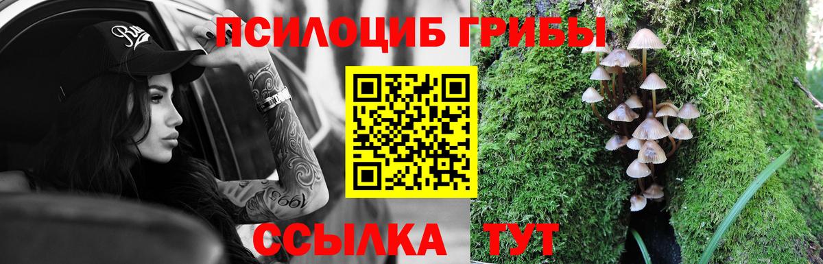 Псилоцибиновые грибы Psilocybe  Вход с VPN  Мурманск  Галлюциногенные грибы ЛСД 