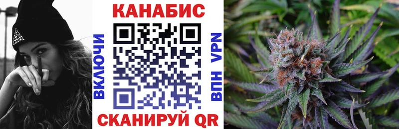 Шишки марихуана конопля  как найти закладки  Мурманск 